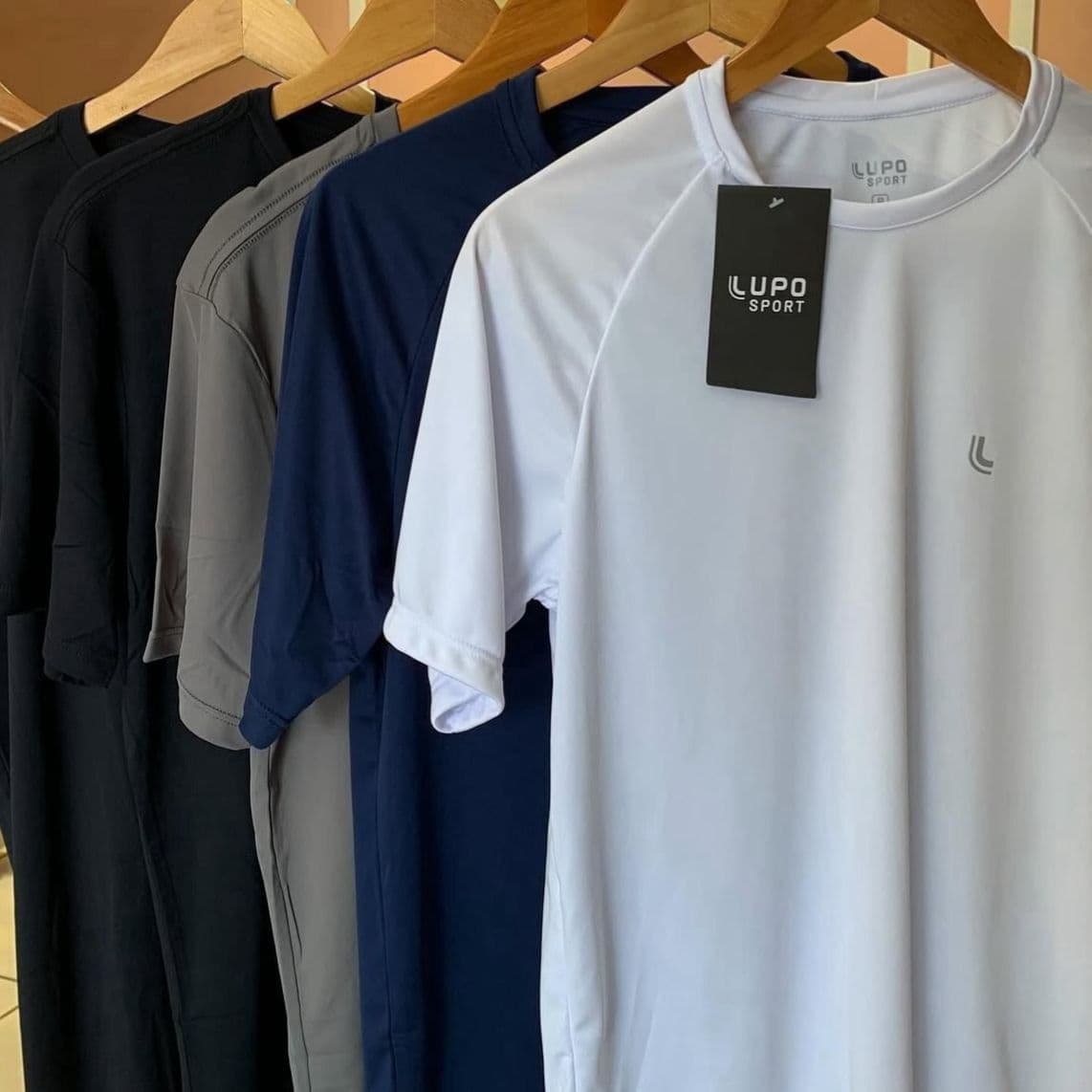 Kit 2 Camiseta Masculina Academia Dry Fit Lupo Original